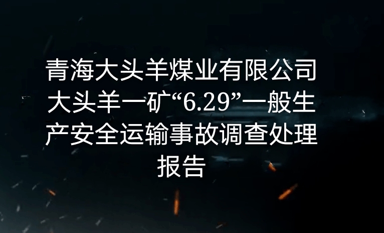 青海大頭羊煤業(yè)有限公司大頭羊一礦“6・29”一般生產(chǎn)安全運輸事故調(diào)查處...